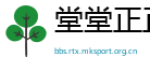 堂堂正正网